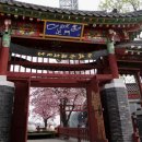 남이섬 봄펜션 이미지