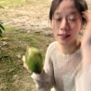 욱이네우기네순대국 | 태교여행겸, 결혼기념일겸 떠난 나트랑 🏊🕶️🥭