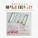 중간금 | 사회초년생이 예적금 대신 금투자 선택한 이유 콩알금 모아본 현실 후기