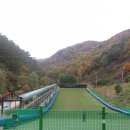 영진오리농장 이미지