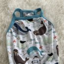 특별하개 | 중형견 강아지옷 강아지나시 여름옷 쿨티 찡쓰독