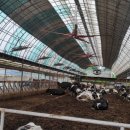 강화축산 이미지