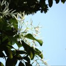 대전수미초등학교 이미지