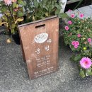 궁림바지락칼국수 경주본점 | 경주 불국사 근처 현지인 맛집 :: 궁림바지락칼국수 경주본점 / 자가제면 칼국수 솔직후기 주차 영업...