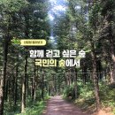 함께 걷고 싶은 숲, 국민의 숲에서 이미지