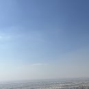 [UAE] 아부다비 알아인(Al Ain) 2박3일 여행기 DAY1~2 : 제벨하핏, 오아시스, 팰리스뮤지엄, 낙타시장