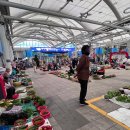 공설시장버스정류장 이미지