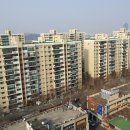 540003 네이버블로그