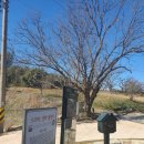 슬로시티삼지내마을 | 나무-광주충효동왕버들군-환벽당 -소쇄원-식영정-슬로시티삼지내마을-왕버들육전국수-황토방국밥-에그583