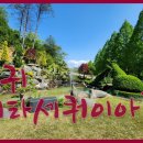 부귀 메타세쿼이아길 이미지