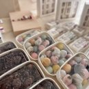 고촌경로당 이미지