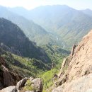 사계 돌담숲 이미지