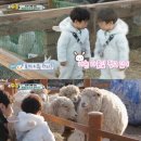 승재농장 이미지