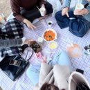 [대학생 일상]벚꽃의 꽃말은 중간고사라고?