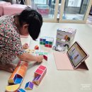 글로벌그로우스토어 | 5살 아기 장난감 그로우러닝 자석 블록 소근육 발달 유아교구로 딱