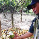 아우농장 이미지