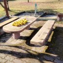 문경자동차검사소 이미지