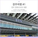 서울아쿠아룸(홈플러스 경주점0 | 경주여행1 KTX타고 경주여행 야시장과 한화리조트 에톤 경주, 아침으로 교리김밥