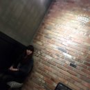 데일리 퀸(Daily Queen)