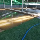 덕산3태양광 이미지