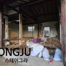 스테이그랴 이미지