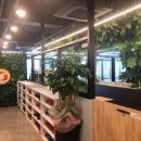 마리앤쥬(ZOO) 이미지