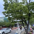 다나카하우스 | [콘서트] 성남 오페라하우스 '다나카 콘서트 후기' 4월 28일(금)