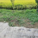 방촌로(2) 이미지