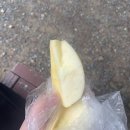 안창약수터 | [부산 황령산 등산 후기] 초보 등산로 추천, 안창 약수터