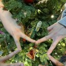 배리홈 | 경주 독채 감성 한옥숙소 배리홈 후기 🎄