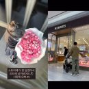 16 스타뉴스