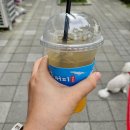 냥냥이 캔따개 | 포토덤프 챌린지 8월 1일~13일 30대 직장인 일상 모음 책추천 음악추천