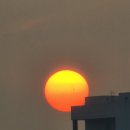 신선초등학교 이미지