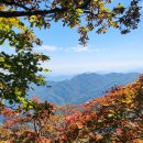 지리산 청학동 삼신봉 산행 및 삼성궁 탐방 + 화명생태공원 황화코스모스... 이미지