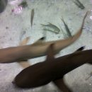 서울아쿠아룸 이미지