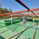 기성초교 이미지