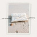 정인브이티 | 일상 약간에 옷 태반