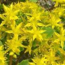 기린초등학교 이미지