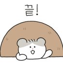 머스타시 이미지