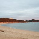 동탄대로시범길 이미지