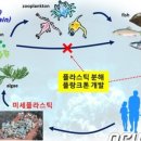 팩토리즈