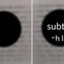 the Fitness LAB 이미지