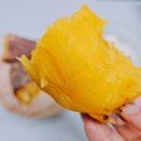 준초이짐 이미지