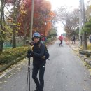 청록경로당 | 금북정맥2기 4구간 (국사봉) .. 지루한 도로길도 마다않고...