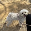 미즈의원 이미지