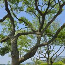 함평 베르힐컨트리클럽 클럽하우스 이미지