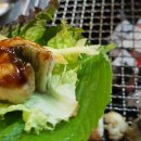 힘찬 민물 장어 이미지