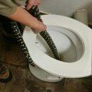 Australian woman bitten by snake in toilet 이미지