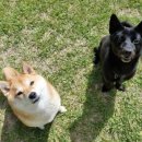 박순호의 아이슬란드 이미지