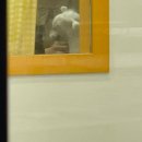 댕댕이발소 이미지